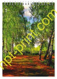 Блокнот природа 12