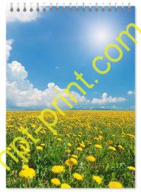 Блокнот природа 15
