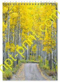 Блокнот природа 25