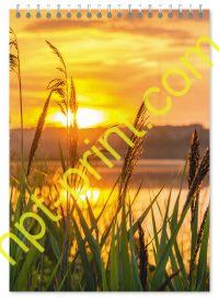 Блокнот природа 07