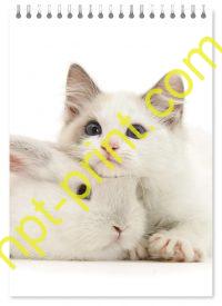 Блокнот кот и кролик 07