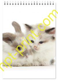 Блокнот кот и кролик 08