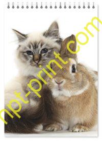 Блокнот кот и кролик 10